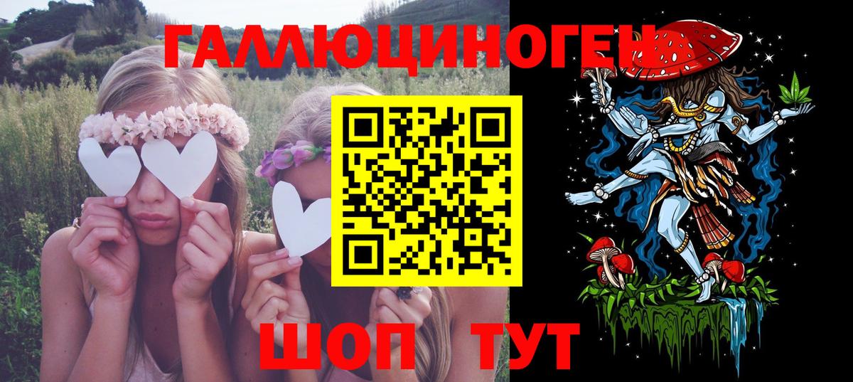 Новоалтайск  Псилоцибиновые грибы Psilocybine cubensis  Вход с VPN 